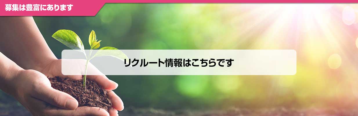 採用情報はこちら